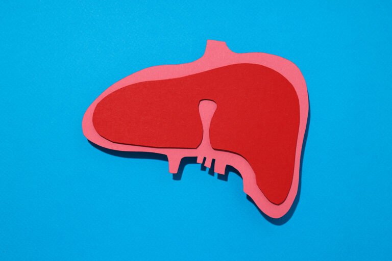 Paper mockup of liver on blue background, top view