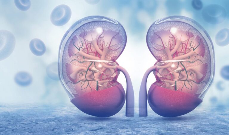 shutterstock_532563151-scaled-e1661772156276-1-1024x602